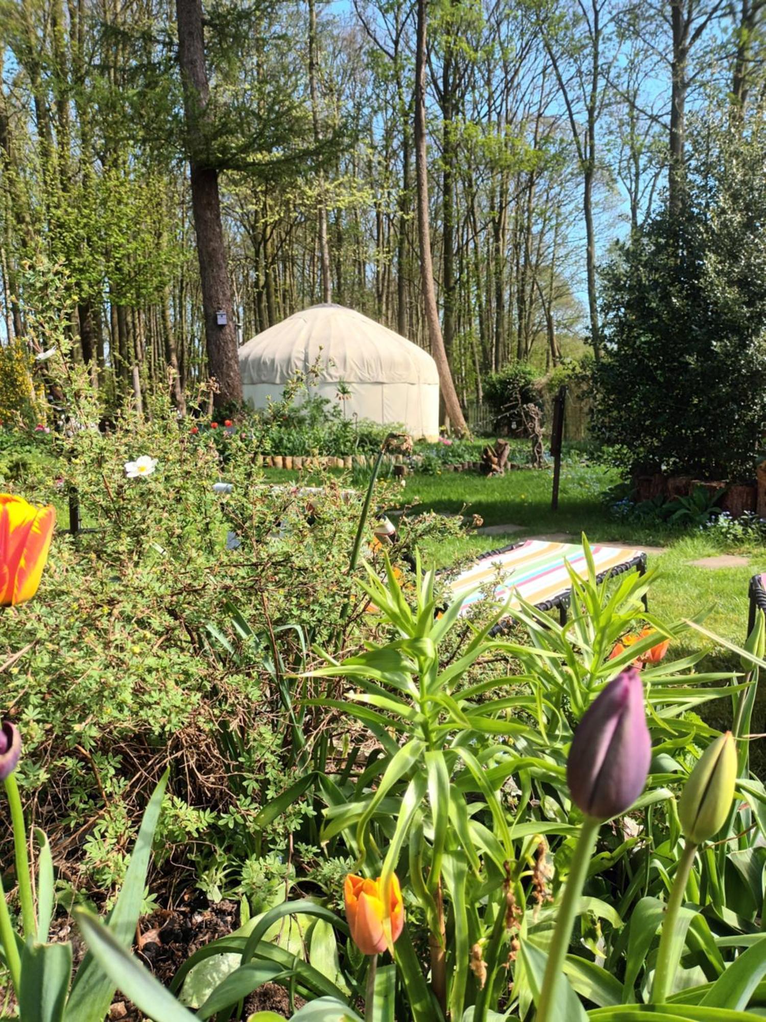 Gingerbread Cottage Yurts Dereham Eksteriør bilde