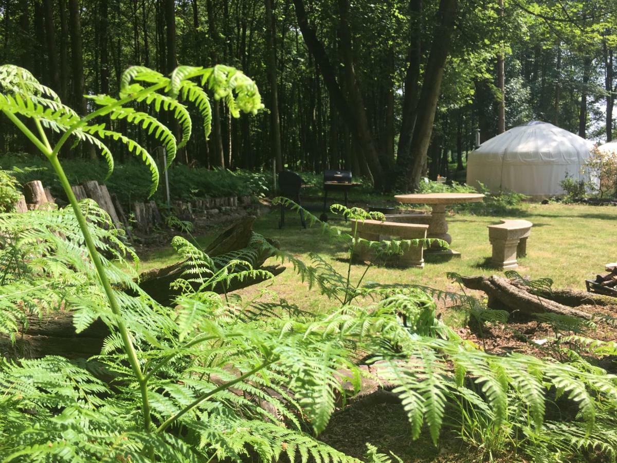Gingerbread Cottage Yurts Dereham Eksteriør bilde