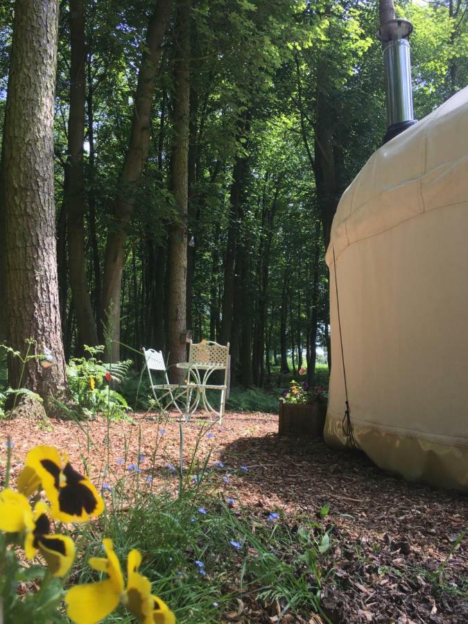 Gingerbread Cottage Yurts Dereham Eksteriør bilde